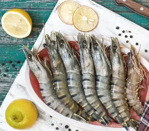 Wholesale Seafood Supplier Tiger Shrimp Raw Head on